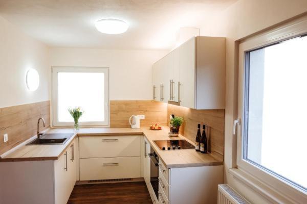Sojka Apartmany Jeseniky Sobotín Buitenkant foto