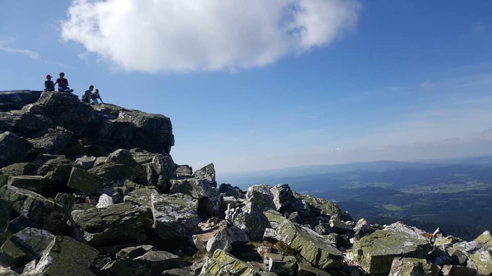 Sojka Apartmany Jeseniky Sobotín Buitenkant foto